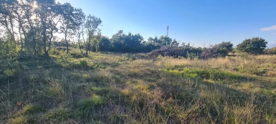 građevinsko zemljište, poličnik 2631m2 - slika 2