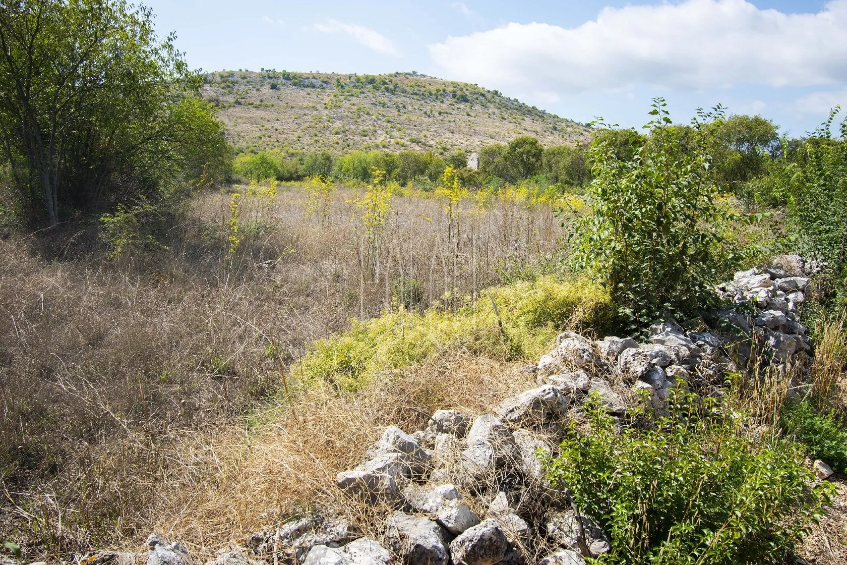 Poljoprivredno zemljište, Čista Mala-Dragišići, 7040 m2 - Čista Mala, Vodice