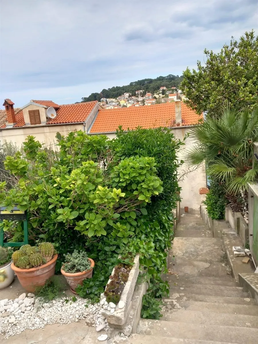 kuća s okućnicom u malom lošinju, 2. red od mora, 200m2+390m2 - slika 5