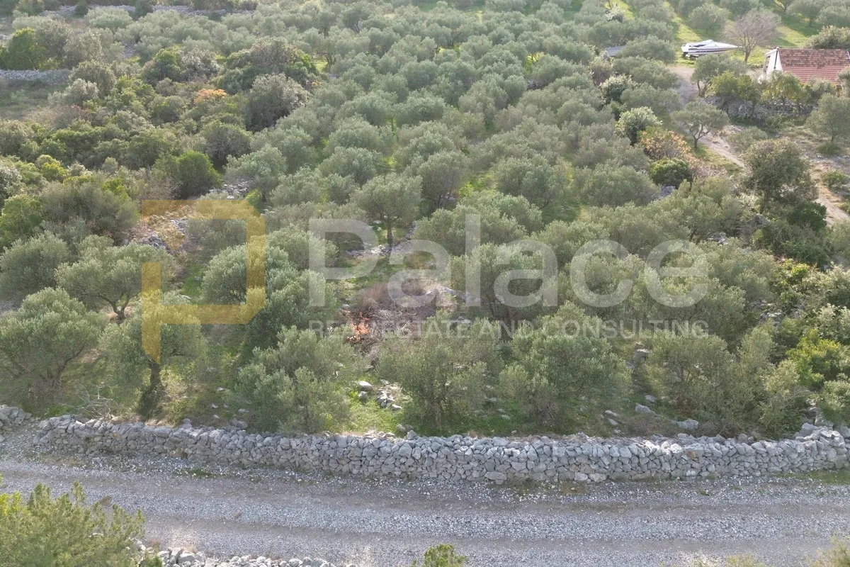 šibenik, razori: atraktivno poljoprivredno zemljište 1885m2 - slika 2