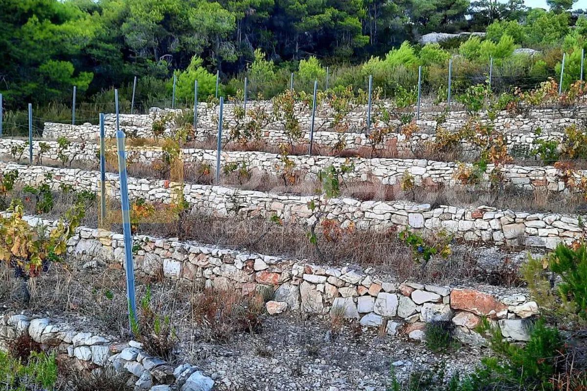 poljoprivredno zemljište s kućicom, 13.698 m² – vis, smokova - slika 4