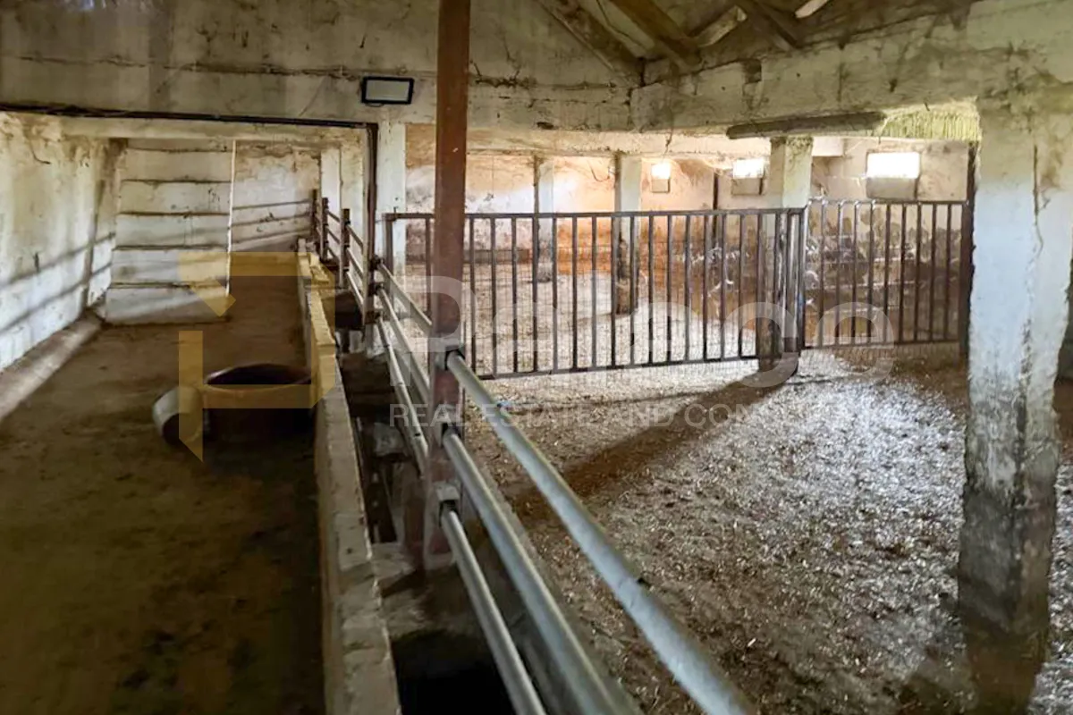 imanje s registriranom farmom i stambenim prostorom , 17500m2 erdut - slika 5