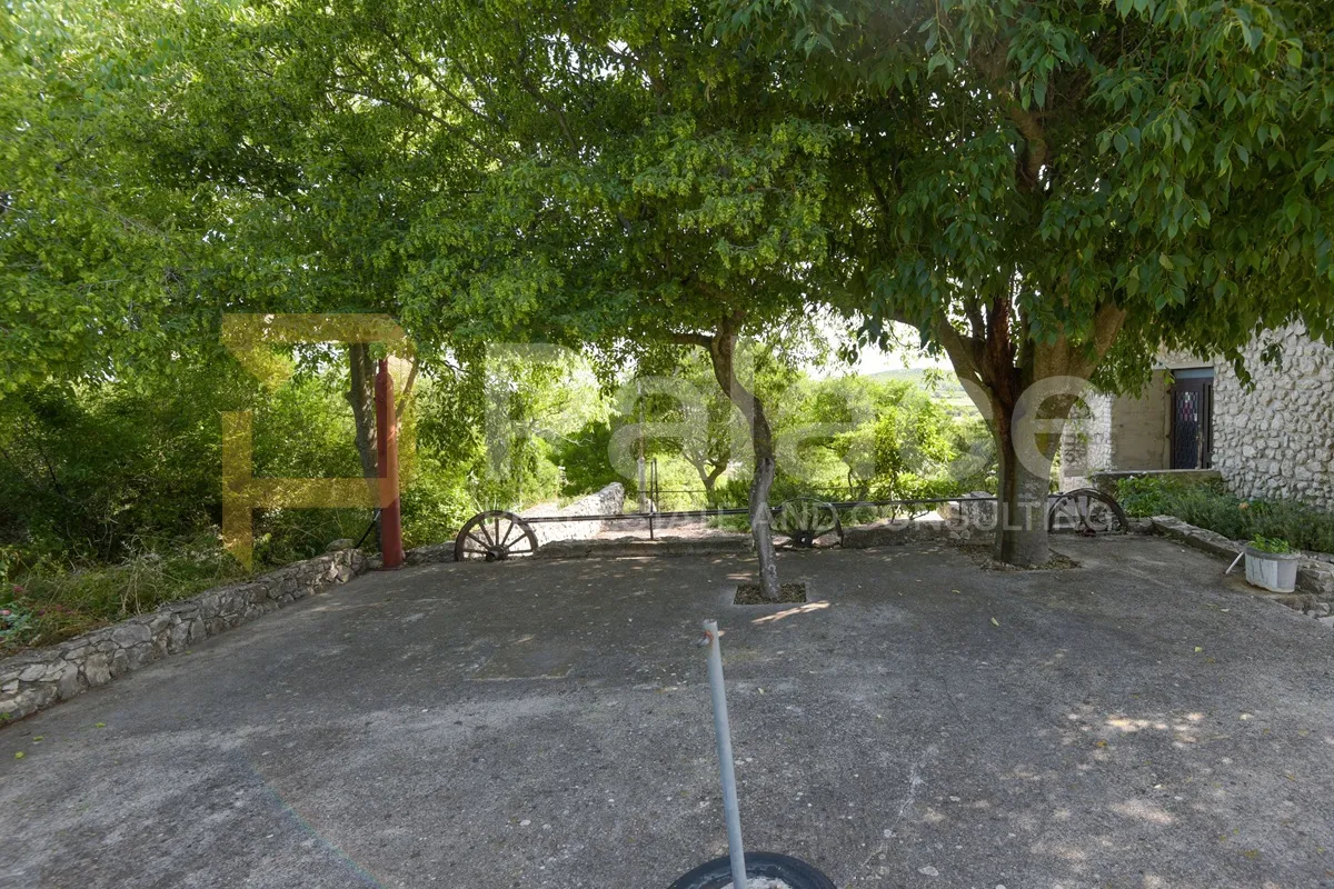 stambeno poslovna kuća s velikom okućnicom, stankovci-crljenik, 300 m2 - slika 8