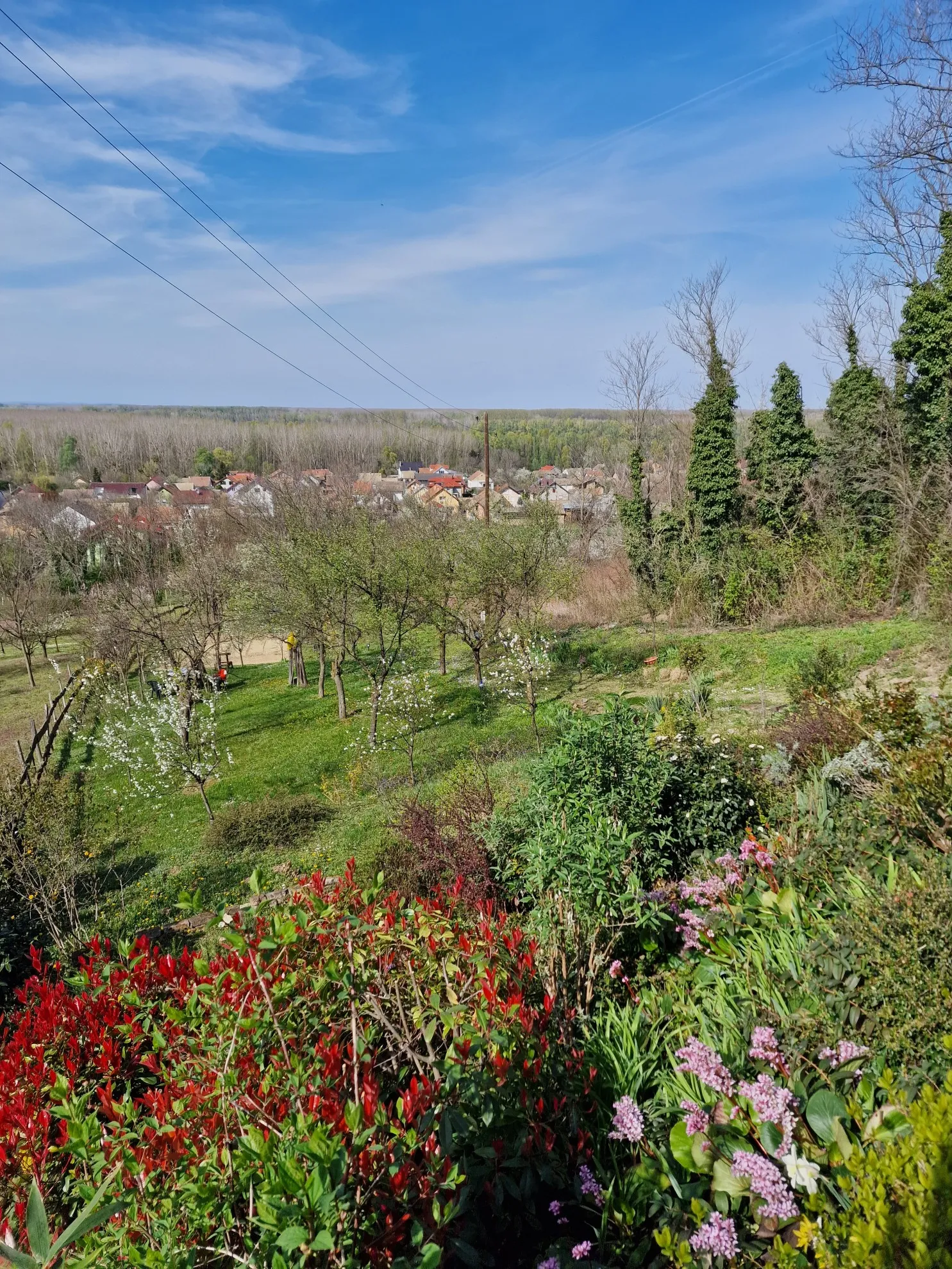 bajkovita kućica s predivnim pogledom, u zelenoj oazi, aljmaš - slika 10