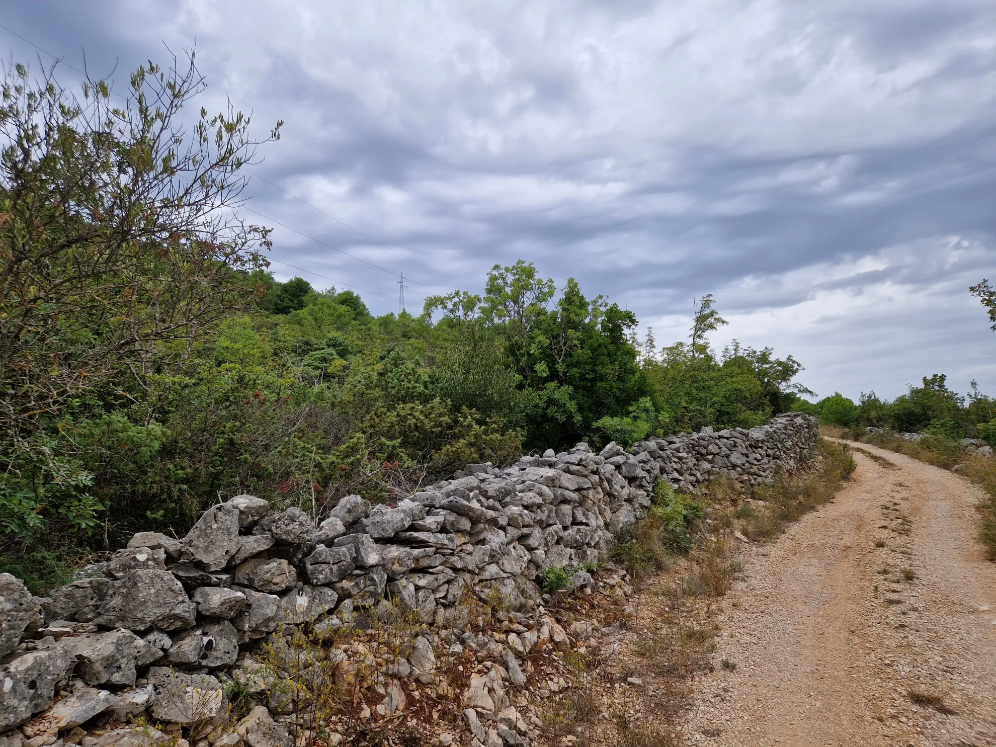 na prodaju parcela u bilicama 17 793 m2 - slika 3