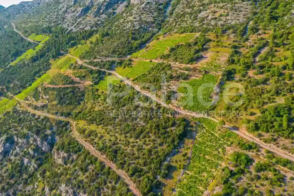 vinograd s pogledom na more i otoke - pelješac, dingač - slika 12