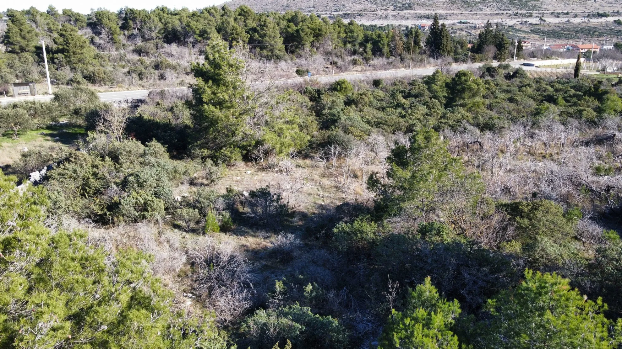 građevinsko zemljište, šibenik, bilice, 15.000 m2 - slika 9