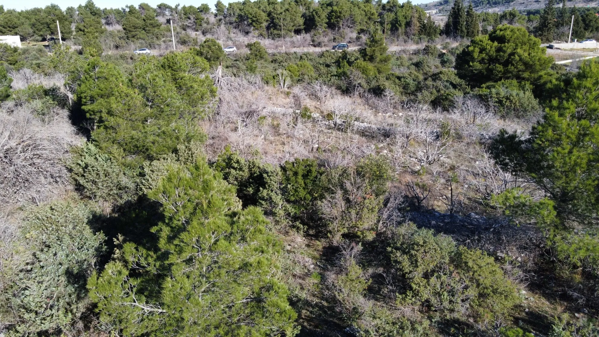 građevinsko zemljište, šibenik, bilice, 15.000 m2 - slika 7