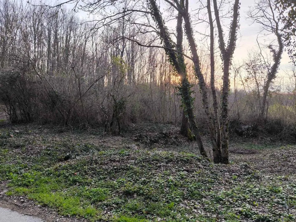 građevinsko zemljište u srcu istre, pazin/mečari, 1083m2 - slika 8