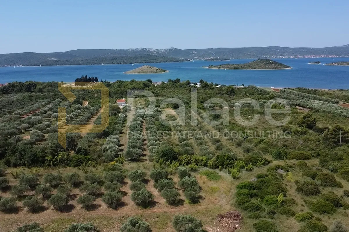 Turanj – 4.938 m² poljoprivrednog zemljišta, najam s mogućnošću kupnje - Turanj, Sveti Filip i Jakov