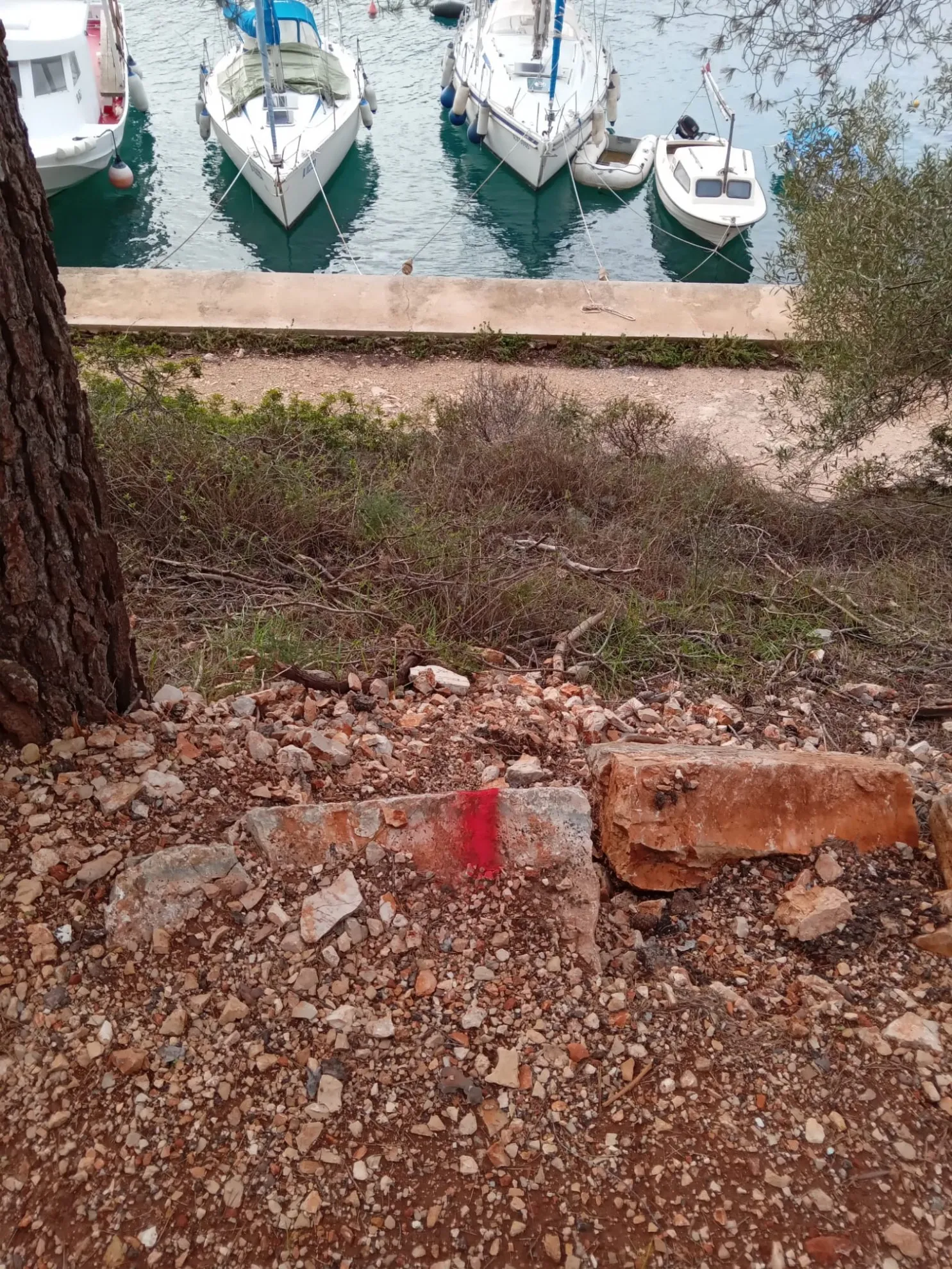 poljoprivredno zemljište u vrboskoj, hvar, 6550 m2 - slika 3