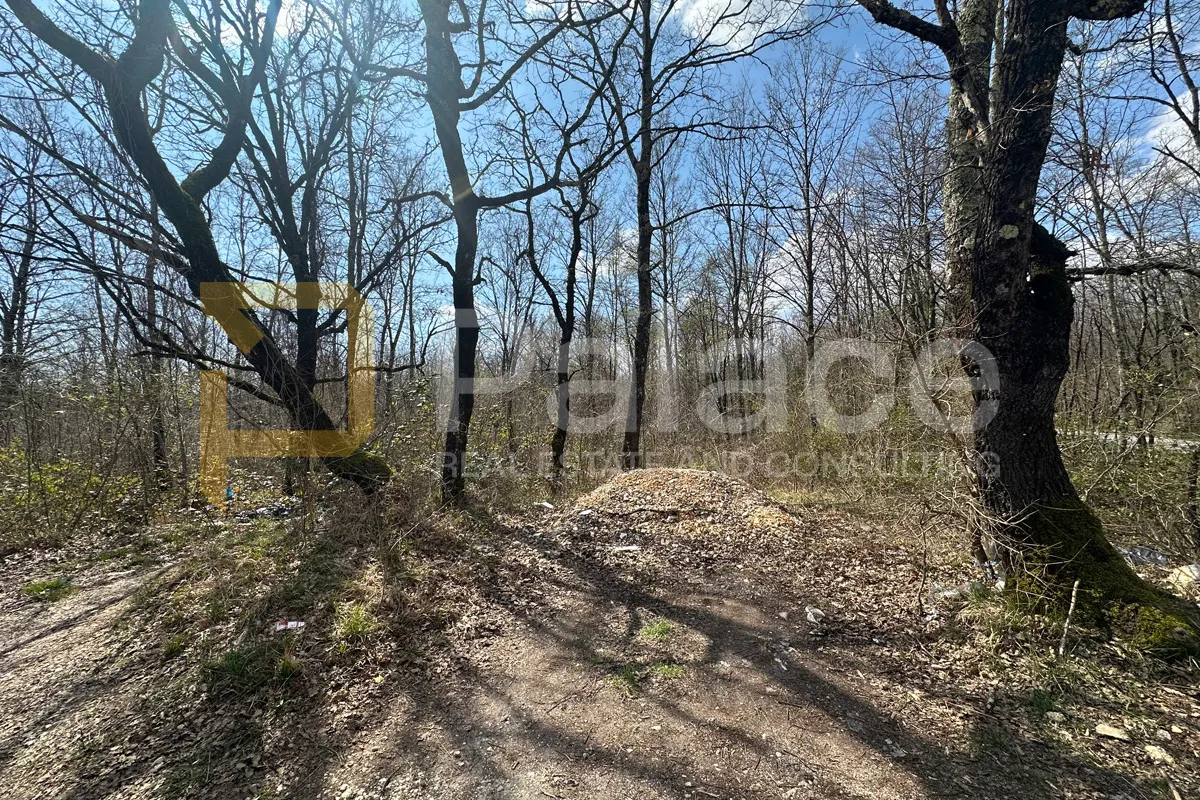 14.000 m2 u srcu istre - gračišće, investicijska prilika - slika 2