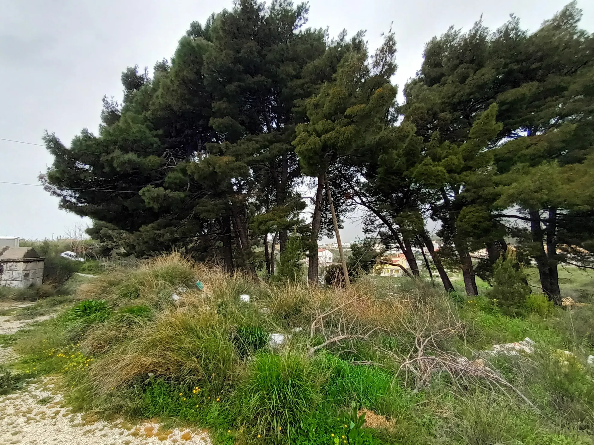 građevinsko zemljište, solin, 1813 m2 - slika 4