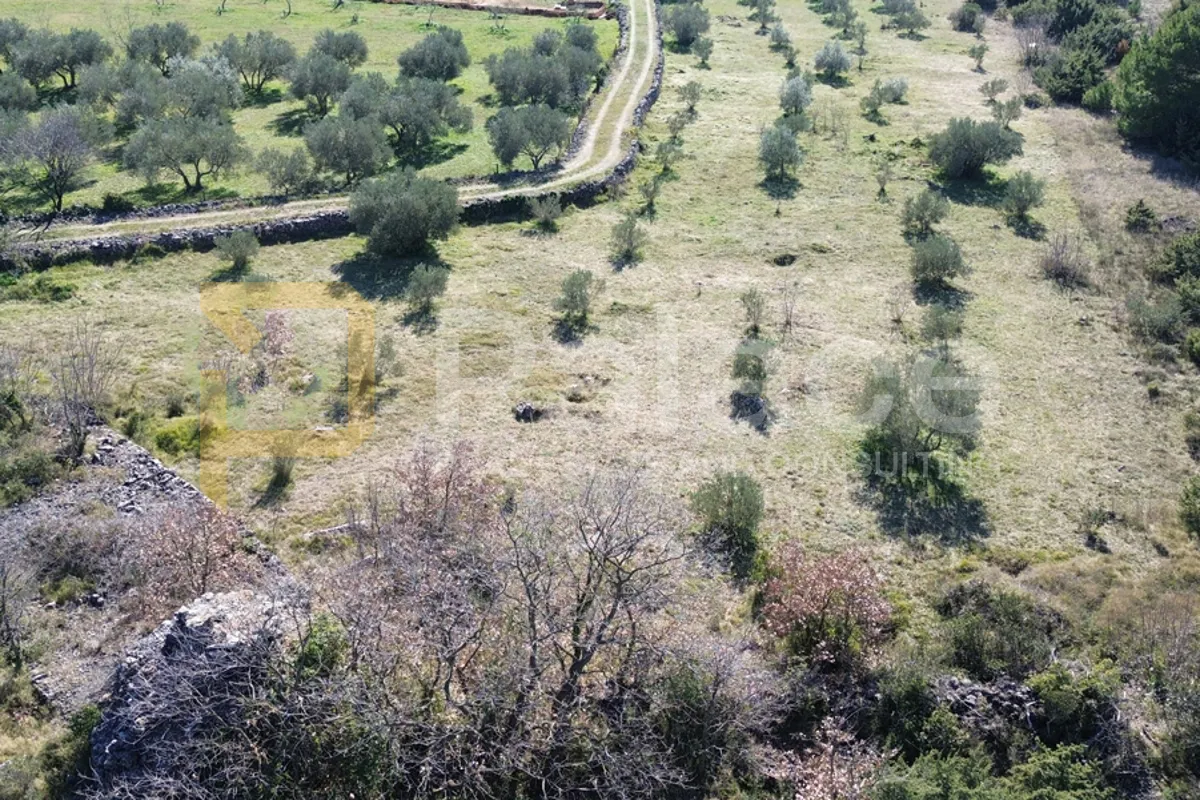 obrađeno poljoprivredno zemljište u zaleđu vodica - slika 6