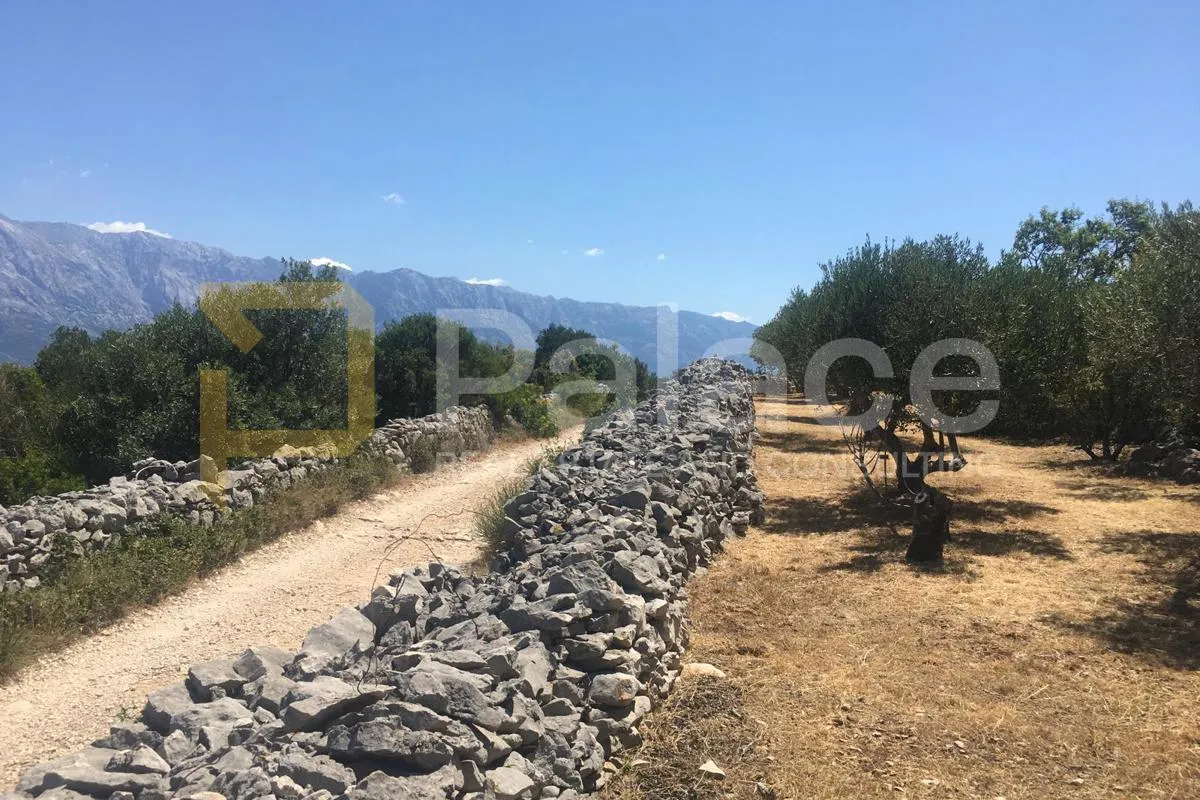 Poljoprivredno zemljište u Povljima, 18000 m2, Brač - Povlja, Selca