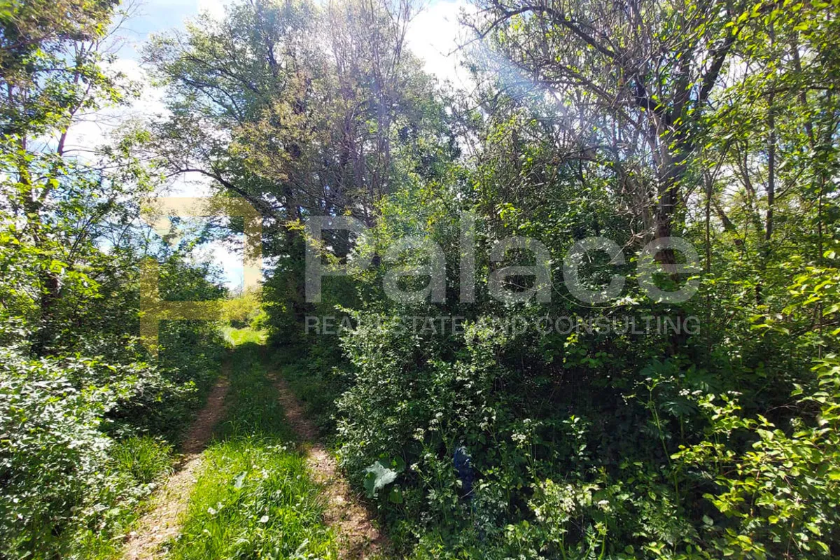 zemljište u srcu prirode - blizu plitvičkih jezera, sadilovac, 26918m² - slika 3