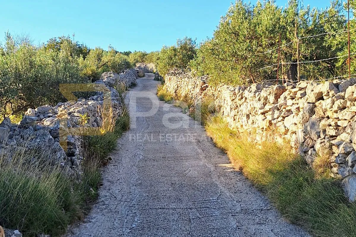 predivno poljoprivredno zemljište na odličnoj lokaciji - slika 8