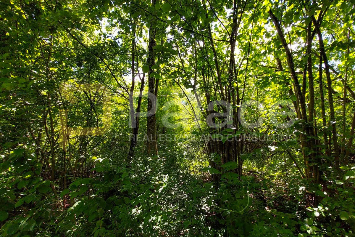 zemljište u srcu prirode - blizu plitvičkih jezera, sadilovac, 26918m² - slika 6