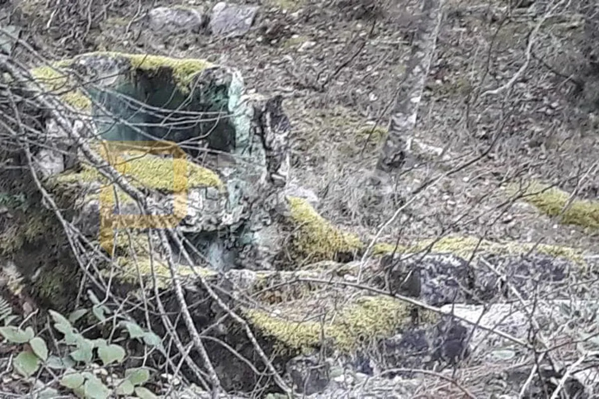 poljoprivredno zemljište, vrisnik na hvaru, 24000m² - slika 21