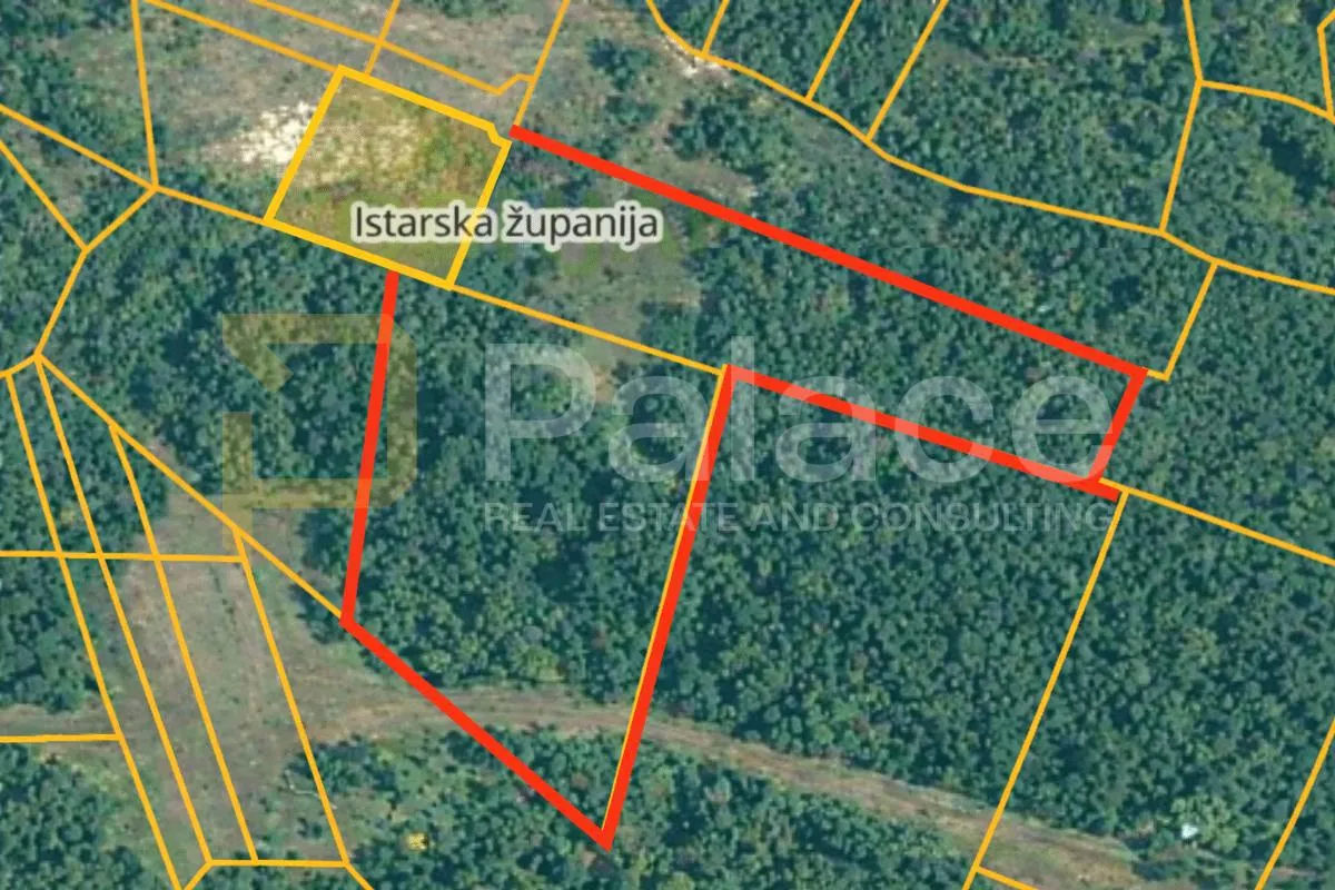 rijetka ponuda: 8.000 m² investicijskog zemljišta u okolici vodnjana - slika 5