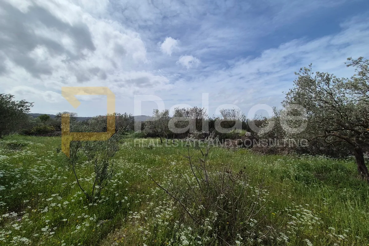 građevinsko zemljište 10 000 m2 u bilicama - slika 6