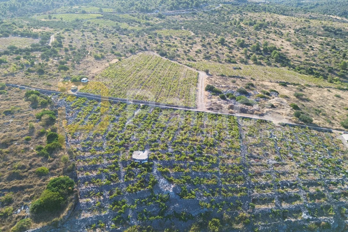 rodni vinograd uz more u primoštenu - bucavac, 6305m2 - slika 12