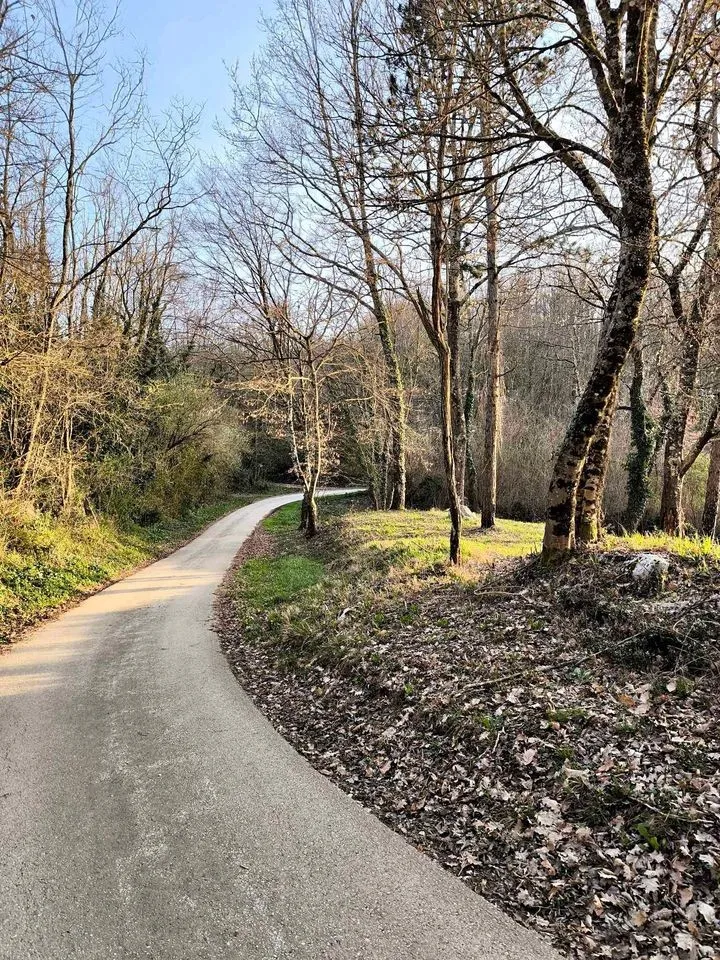građevinsko zemljište u srcu istre, pazin/mečari, 1083m2 - slika 6