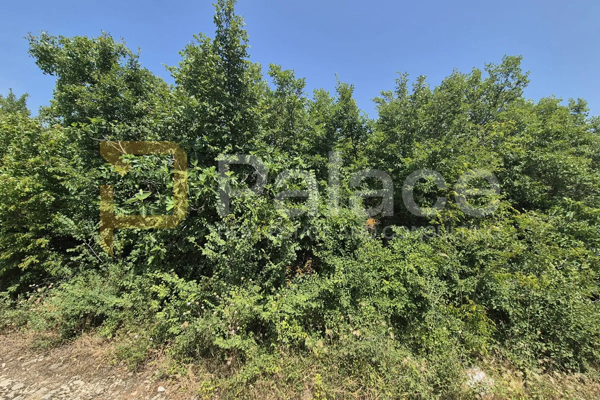 poljoprivredno neobrađeno zemljište 2607 m2 - slika 3