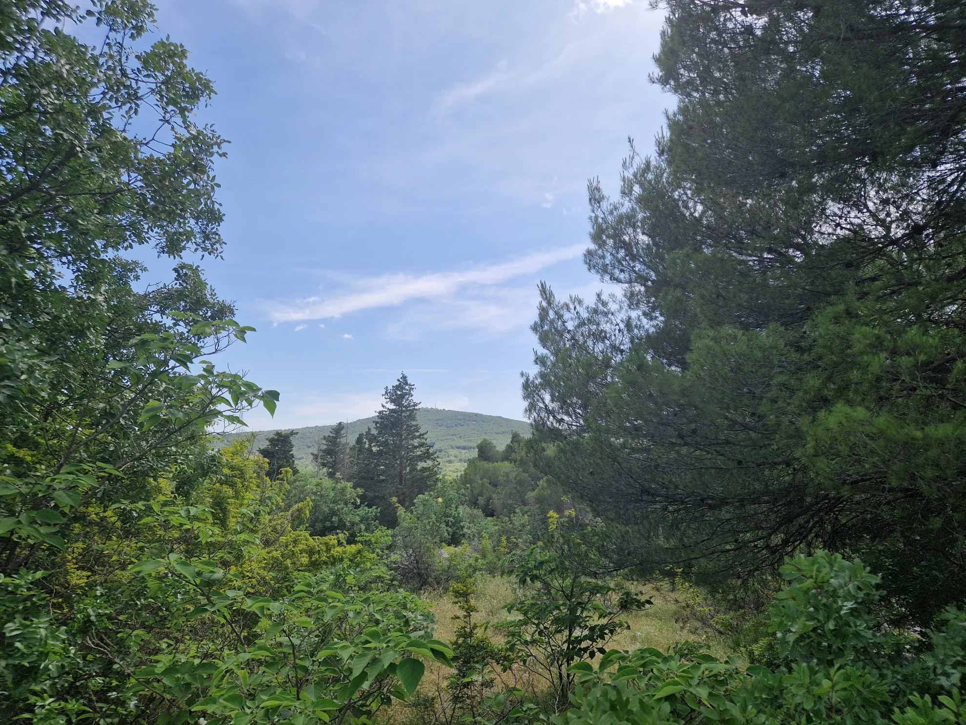 Građevinsko zemljište u Dubravi na lijepoj lokaciji 1009 m2 - Dubrava kod Šibenika, Šibenik