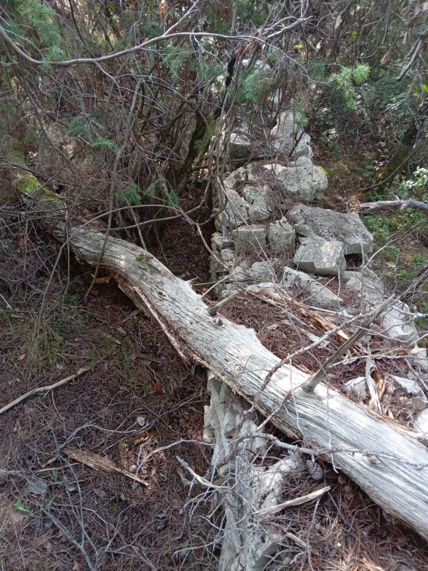 poljoprivredno zemljište u vrboskoj, hvar, 6550 m2 - slika 5