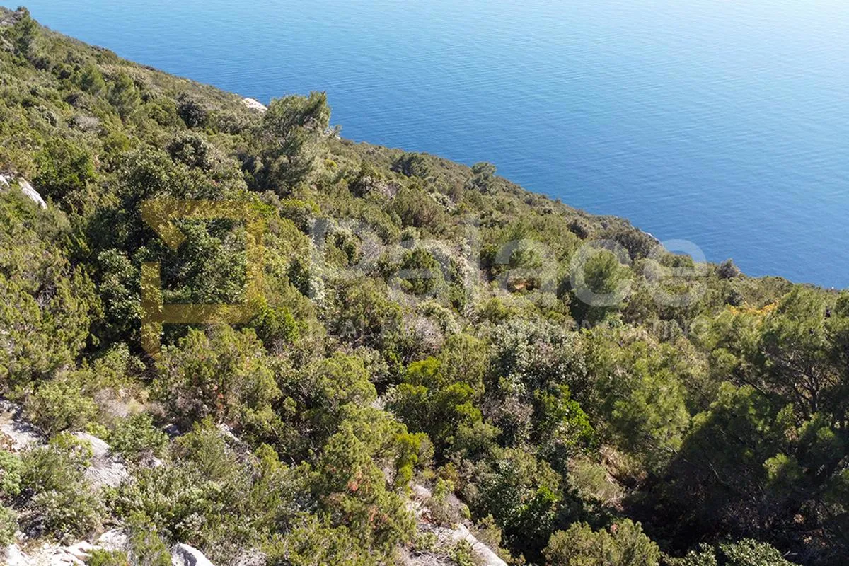 poljoprivredno zemljište s vinogradom, 40.000 m² uz more - pelješac - slika 11