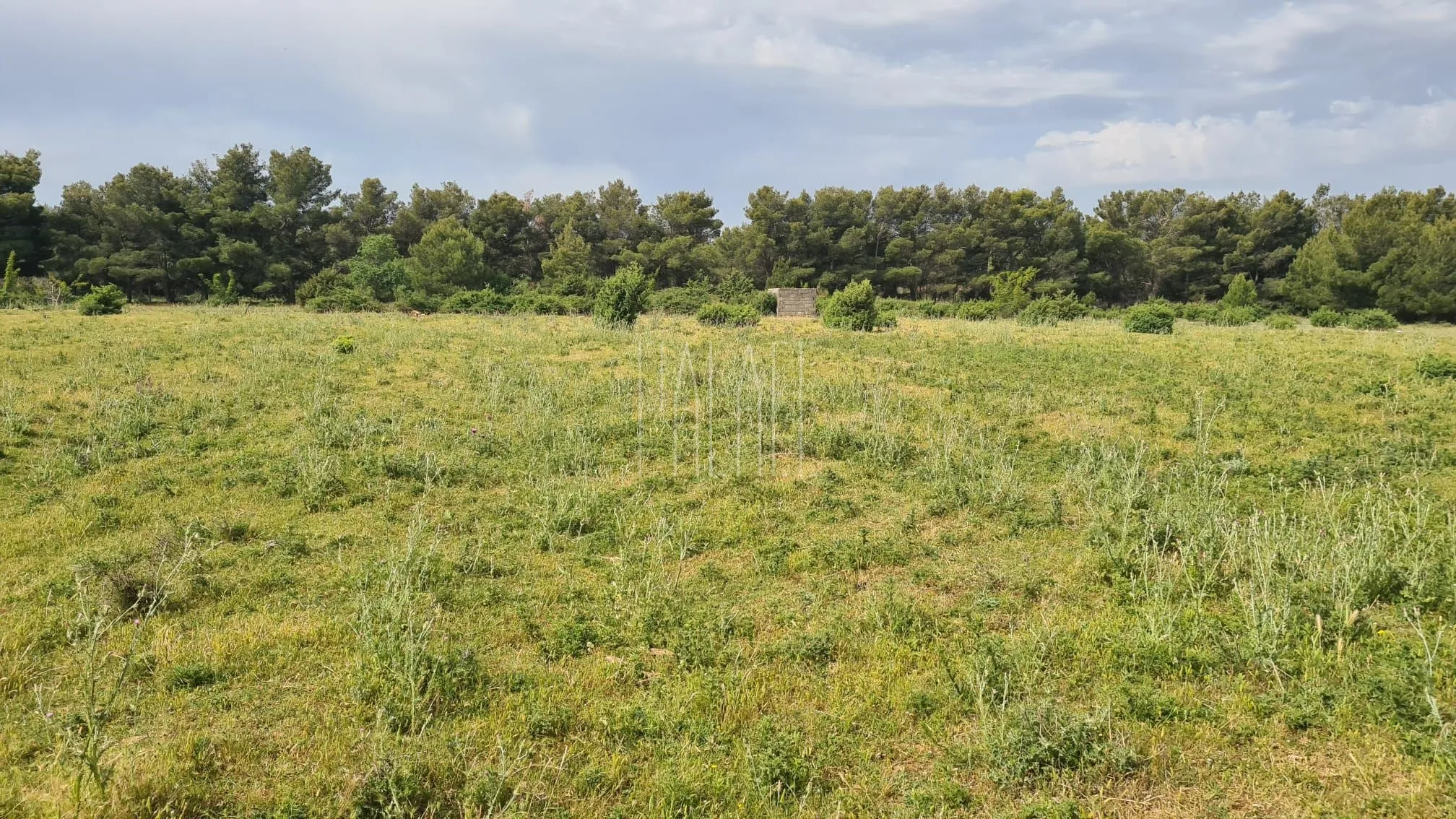 građevinska zemljišta, nova stambena zona šopot, 1020 -1289 m2 - slika 3