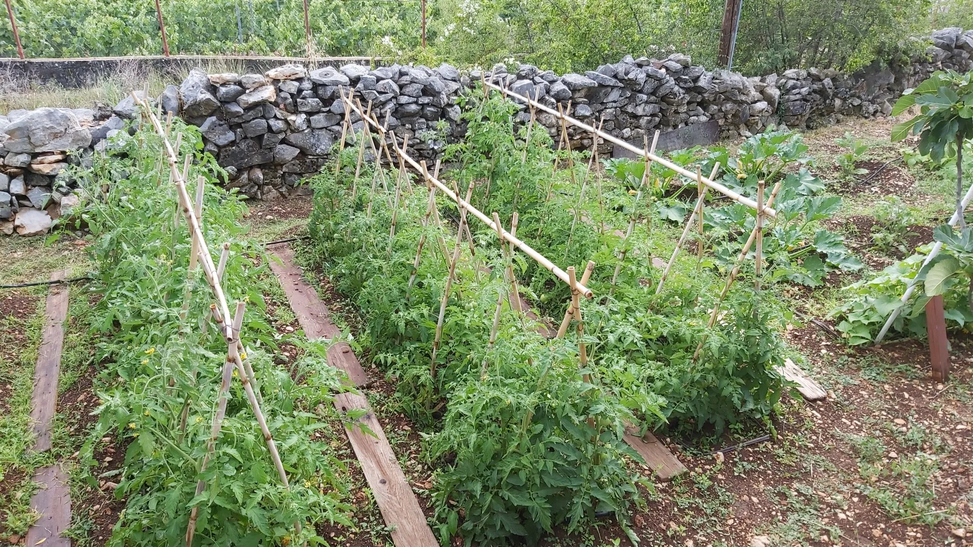 pitoreskna kuća u dubravi s velikom parcelom - slika 11