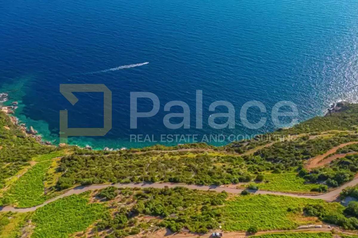 vinograd s pogledom na more i otoke - pelješac, dingač - slika 9