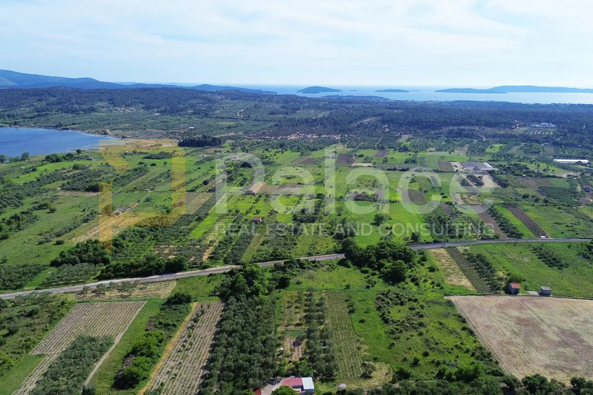 prodaja vinograda 700m2 - donje polje - slika 18