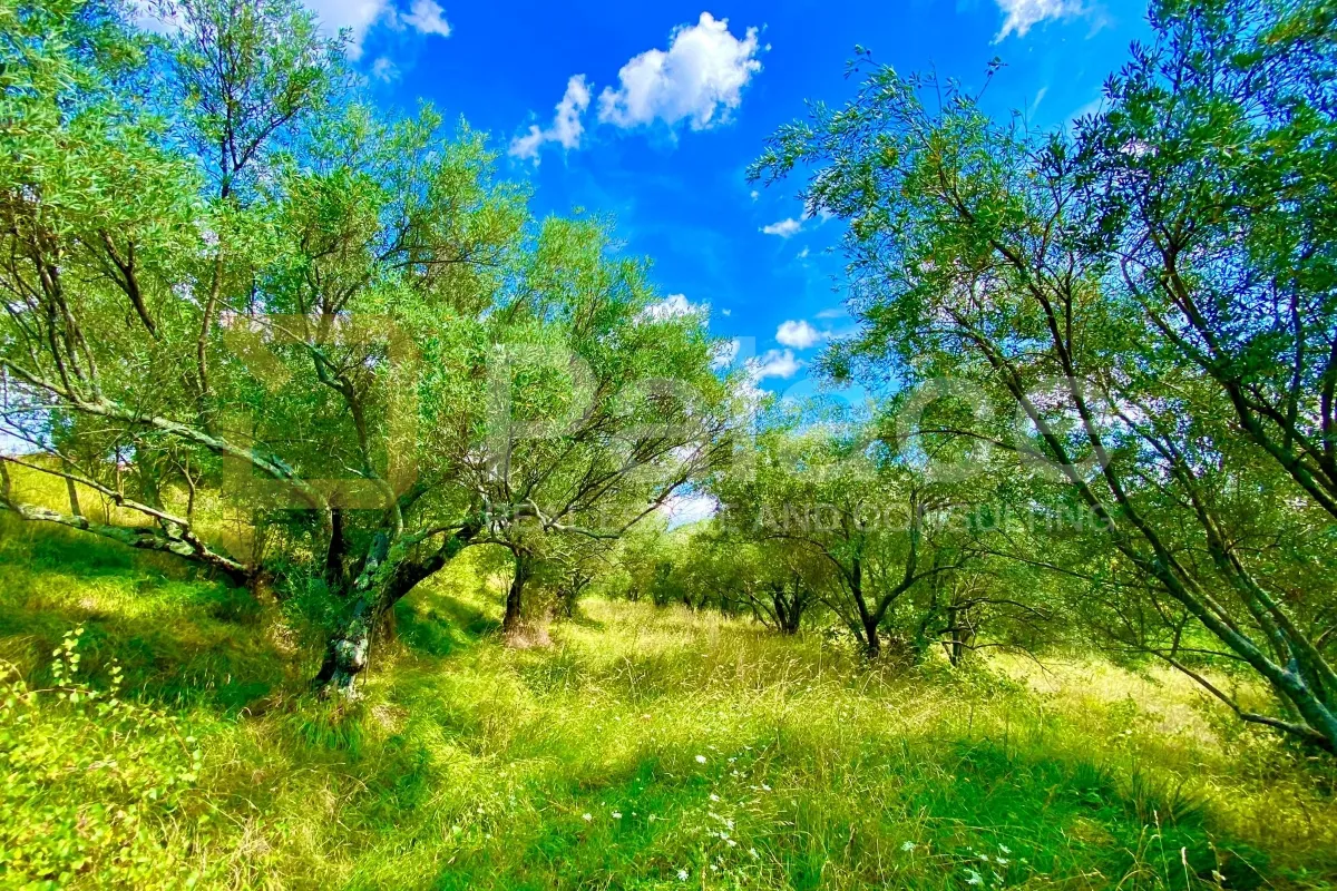 građevinsko zemljište s panoramskim pogledom, 2257 m² - slika 7