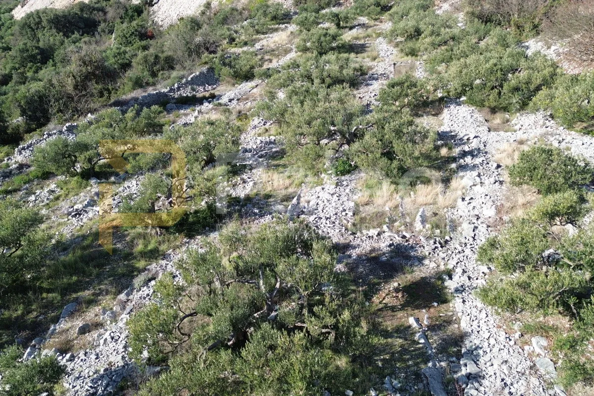 građevinski teren s pogledom na more i primošten, 3691 m2 - slika 2