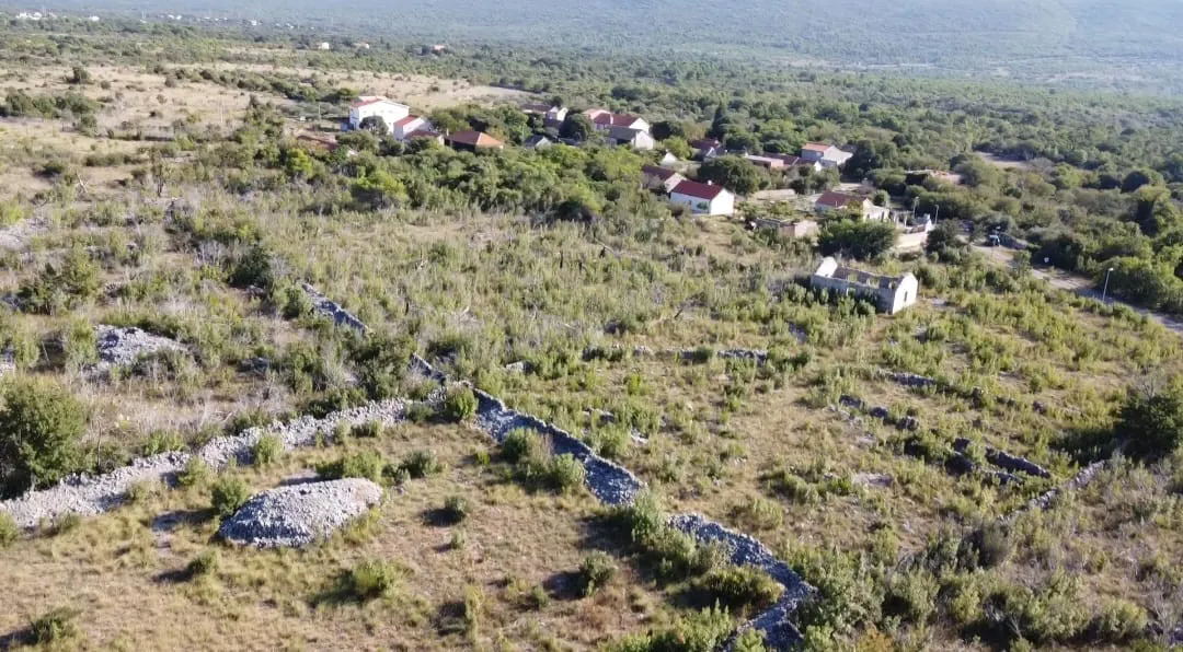 veliko poljoprivredno zemljište uz np krka, idealno za opg - slika 2