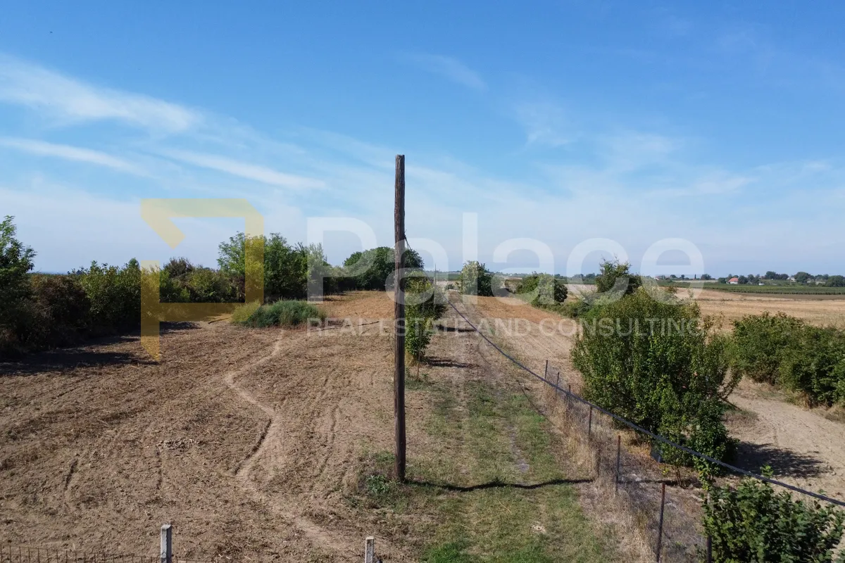 imanje s registriranom farmom i stambenim prostorom , 17500m2 erdut - slika 4