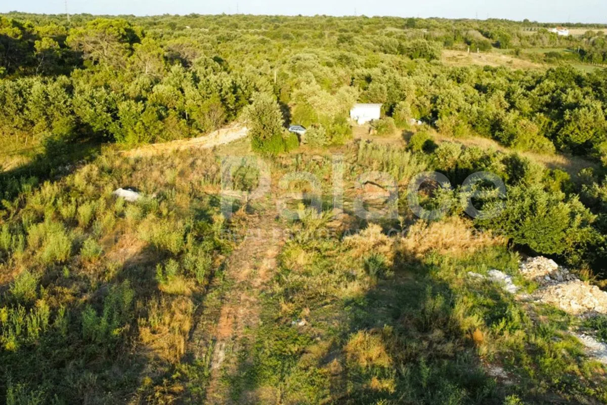 rijetka ponuda: 8.000 m² investicijskog zemljišta u okolici vodnjana - slika 3