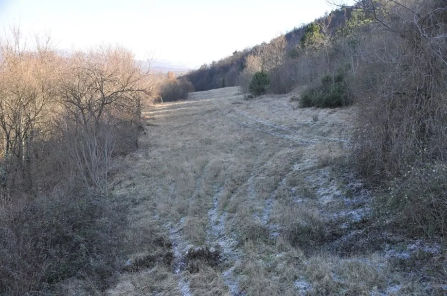 istra: okolica buzeta, građevinsko +poljoprivredno zemljište 82.500m2 - slika 7