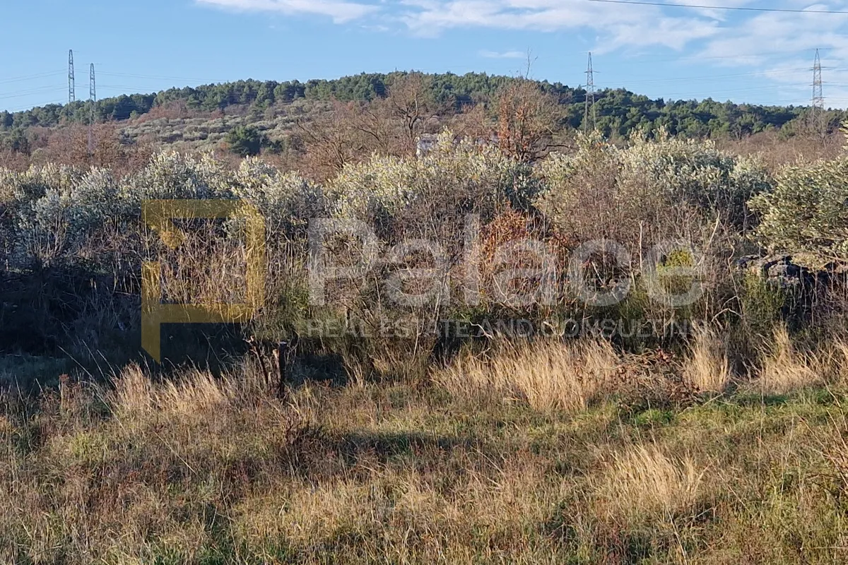 maslinik s 20 maslina, bilice-podlukovnik, 838 m2 - slika 2
