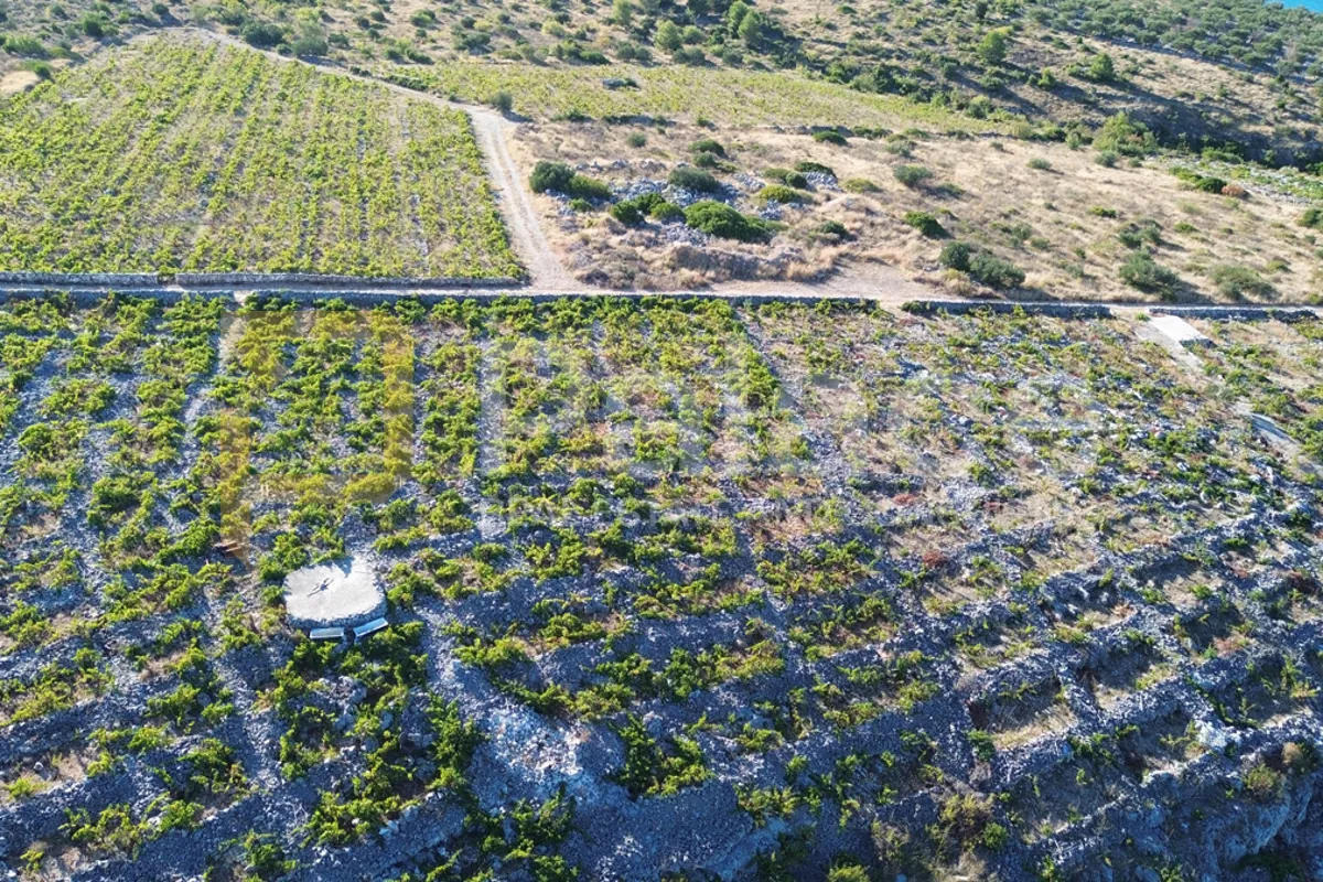 rodni vinograd uz more u primoštenu - bucavac, 6305m2 - slika 8