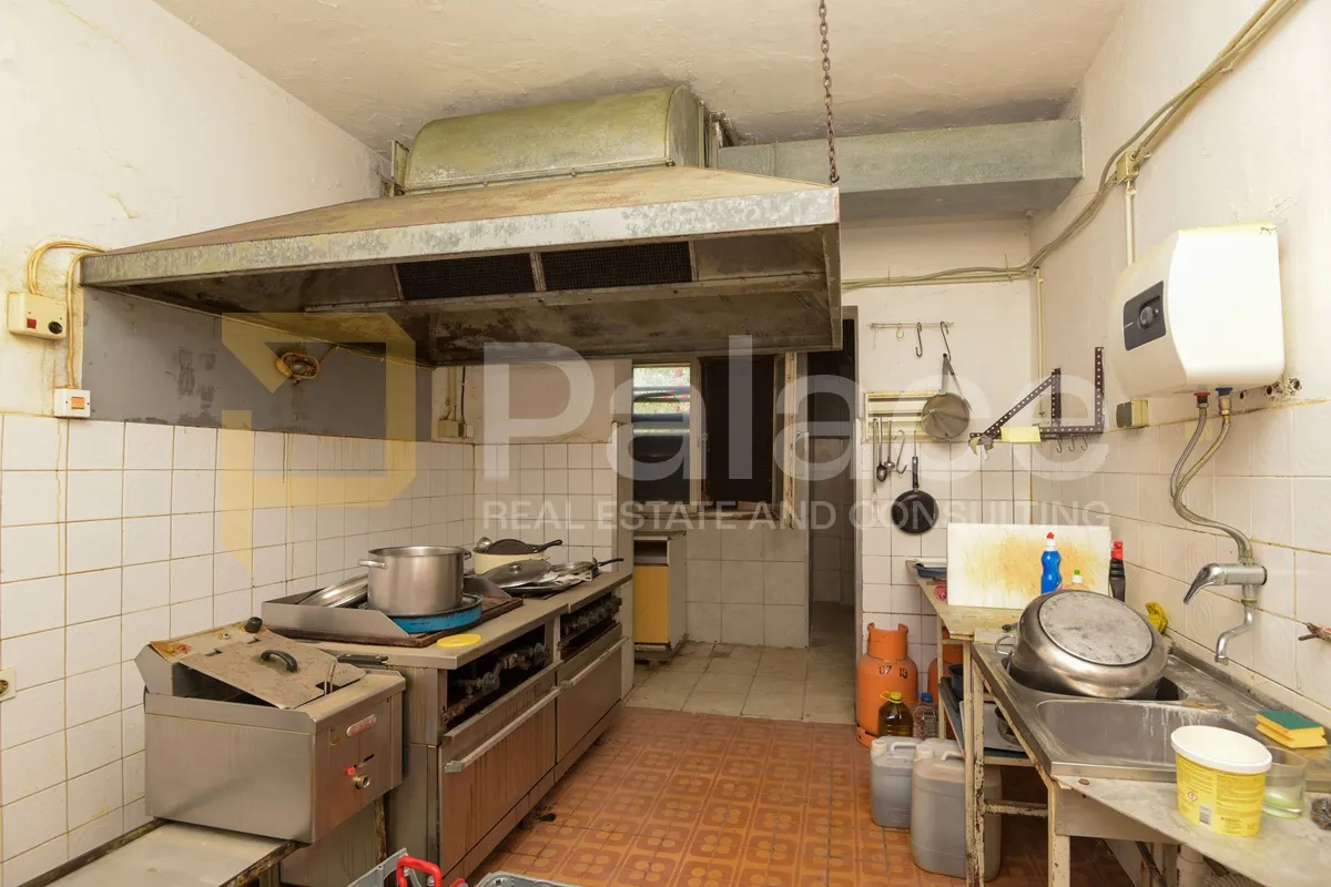 stambeno poslovna kuća s velikom okućnicom, stankovci-crljenik, 300 m2 - slika 19