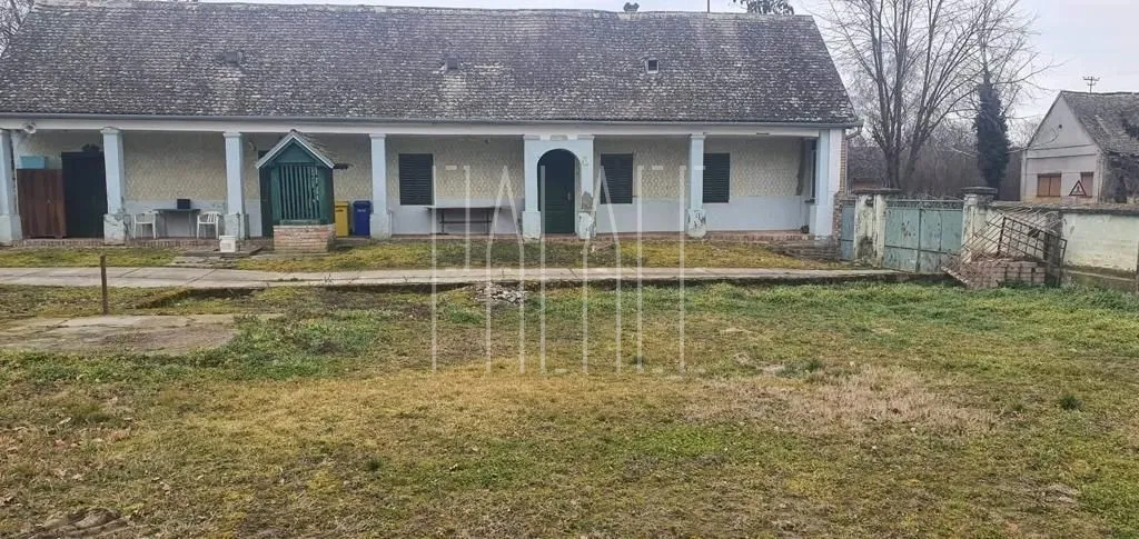 prodaja imanja novi bolman 85000 m2 (kuća s okućnicom i voćnjak) - slika 8
