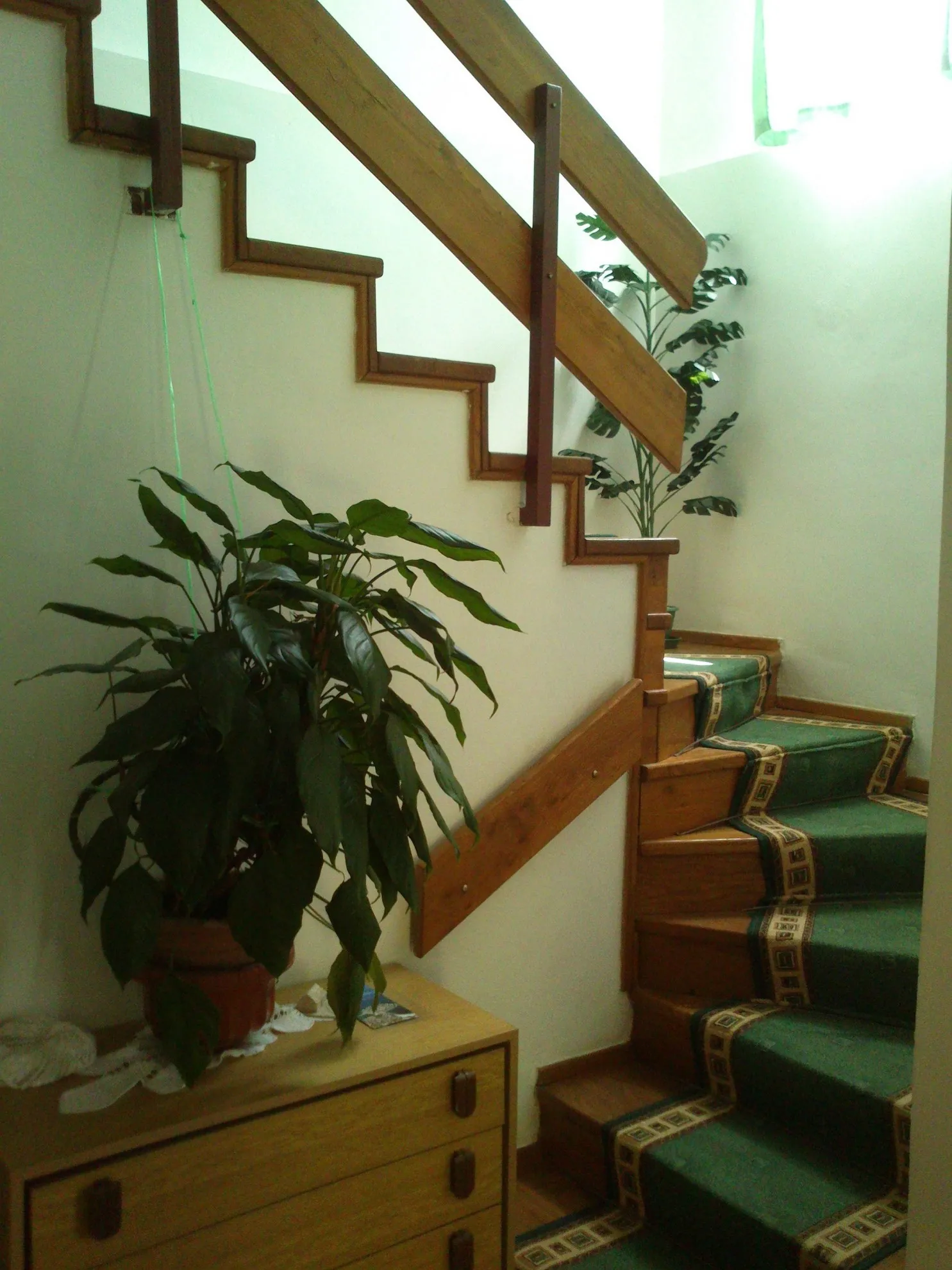 apartmanska kuća s bazenom, primošten, 295 m2 - slika 9