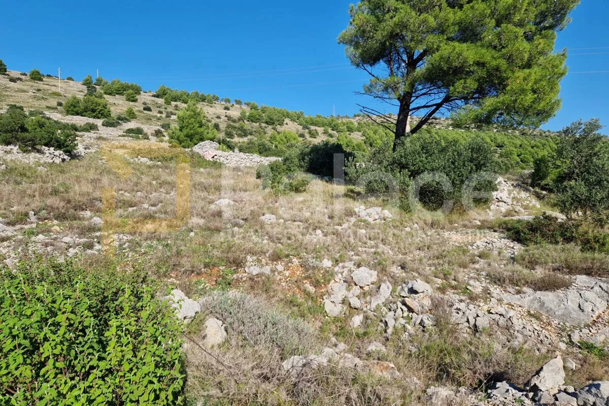 žaborić, jasenovo: građevinsko zemljište 150m od mora - slika 2