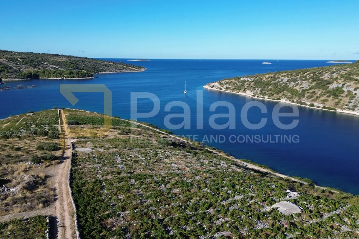 rodni vinograd uz more u primoštenu - bucavac, 6305m2 - slika 7