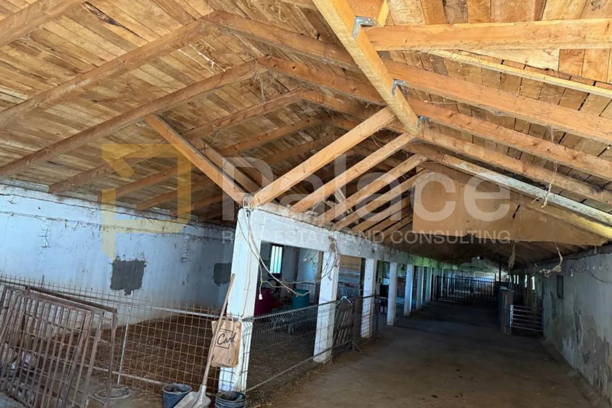 imanje s registriranom farmom i stambenim prostorom , 17500m2 erdut - slika 6