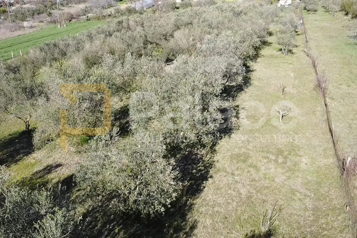 murvica gornja: građevinsko zemljište 550 m2 - slika 4